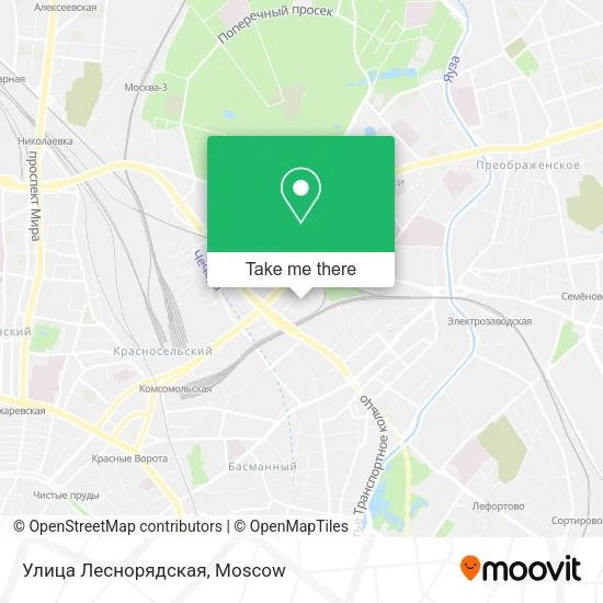 Улица Леснорядская map