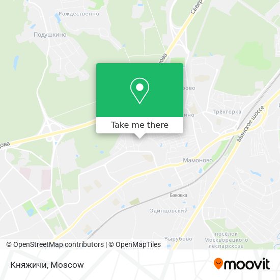 Княжичи map
