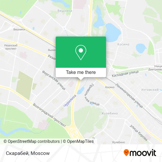 Скарабей map