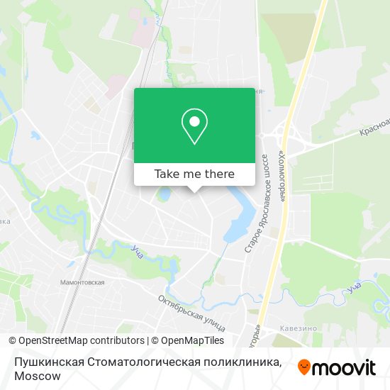 Пушкинская Стоматологическая поликлиника map