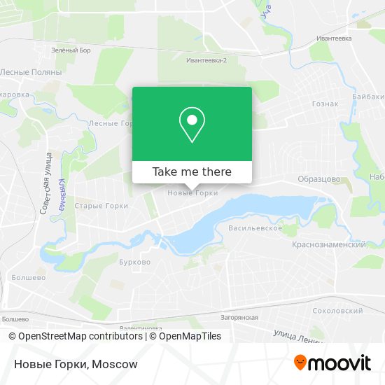 Новые Горки map