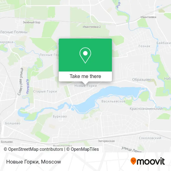Новые Горки map