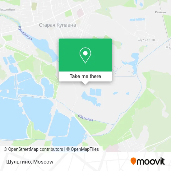 Шульгино map