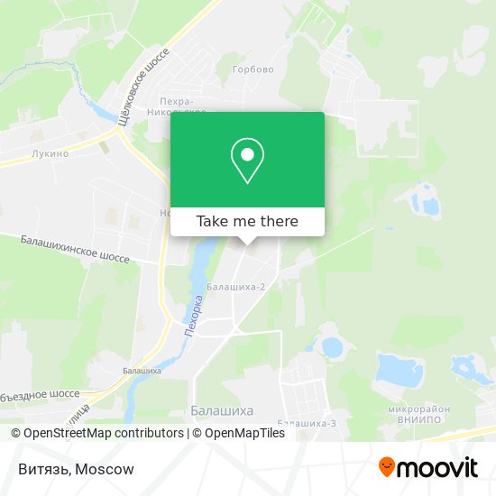 Витязь map