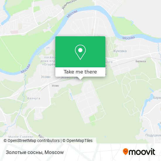 Золотые сосны map