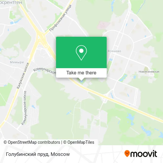 Голубинский пруд map