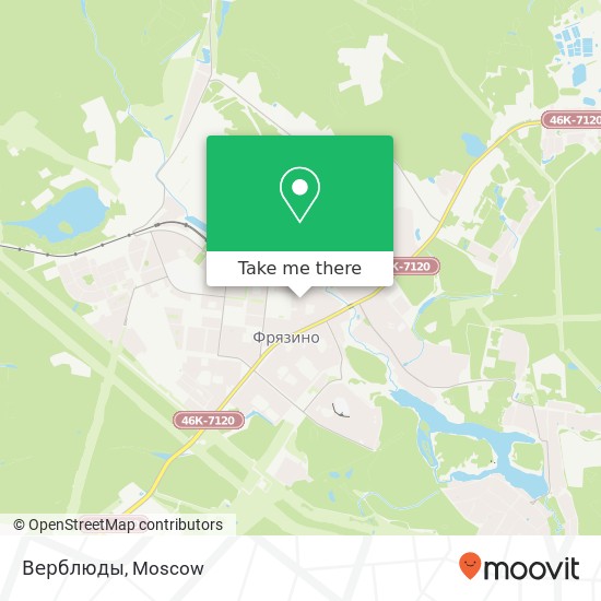 Верблюды map