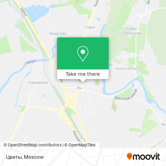 Цветы map