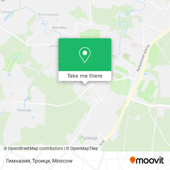 Гимназия, Троицк map