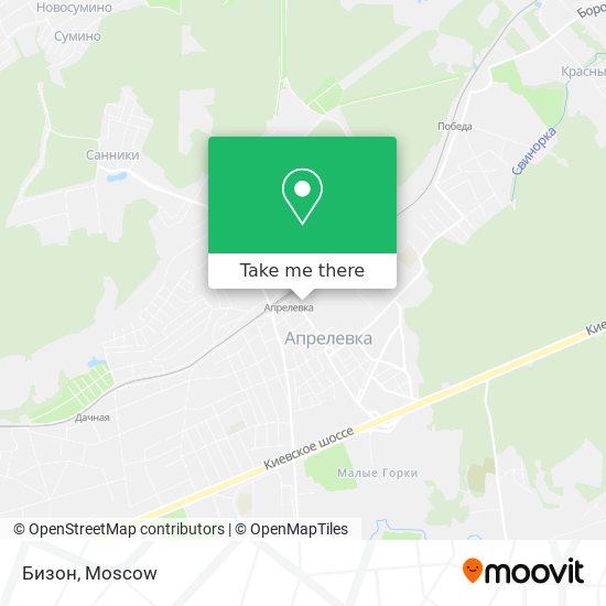 Бизон map