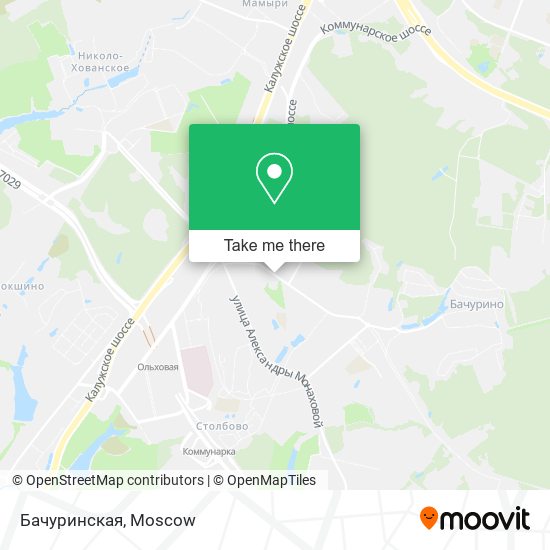 Бачуринская map