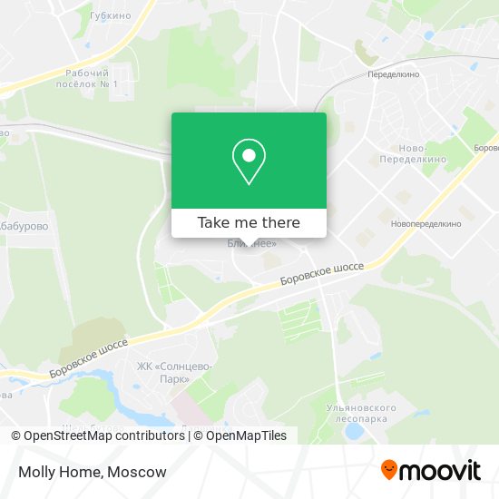 Molly Home map