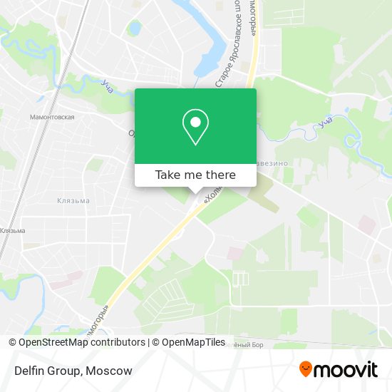 Delfin Group map