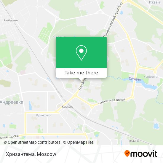 Хризантема map