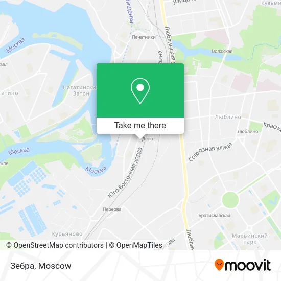Зебра map