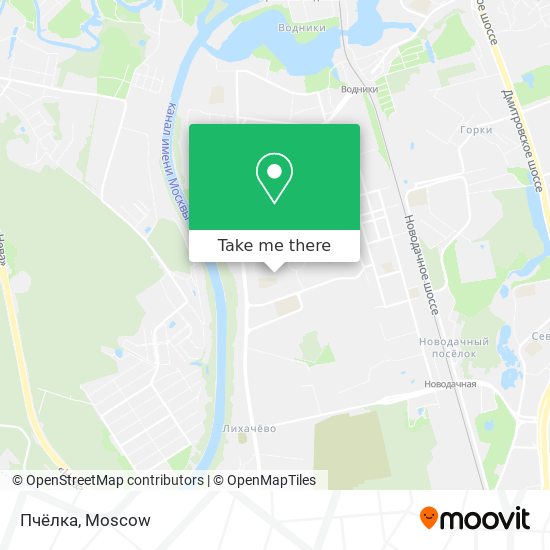 Пчёлка map