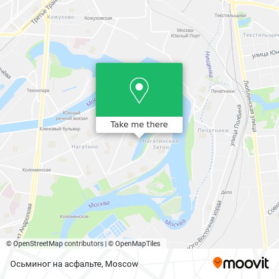 Осьминог на асфальте map