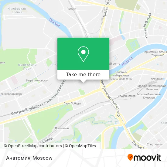 Анатомия map