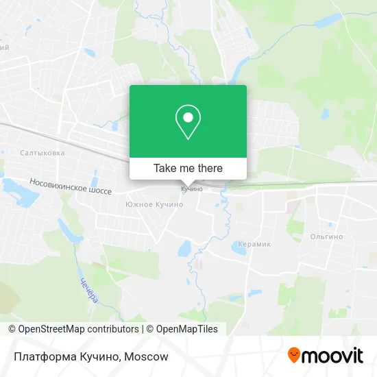 Платформа Кучино map