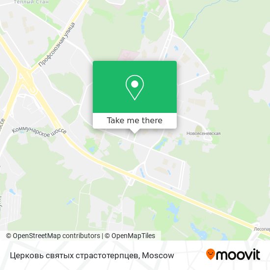 Церковь святых страстотерпцев map