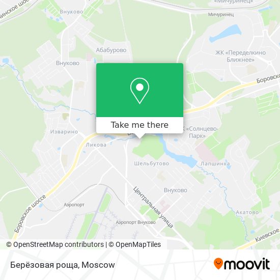 Берёзовая роща map