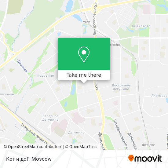 Кот и доГ map