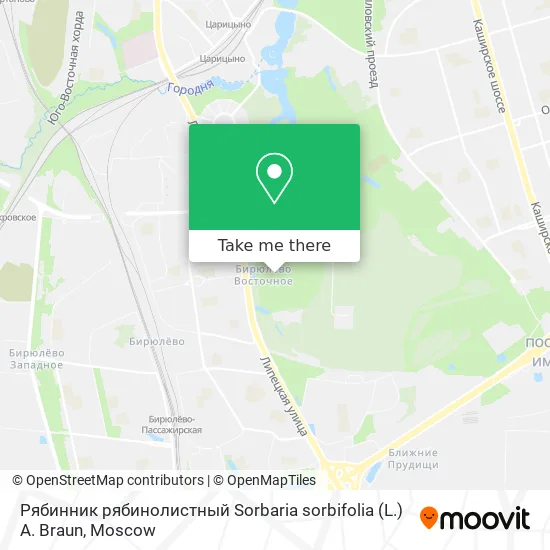 Рябинник рябинолистный Sorbaria sorbifolia (L.) A. Braun map