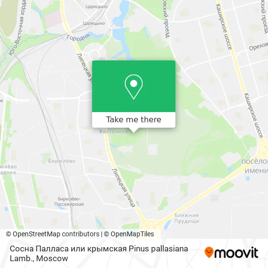 Сосна Палласа или крымская Рinus pallasiana Lamb. map