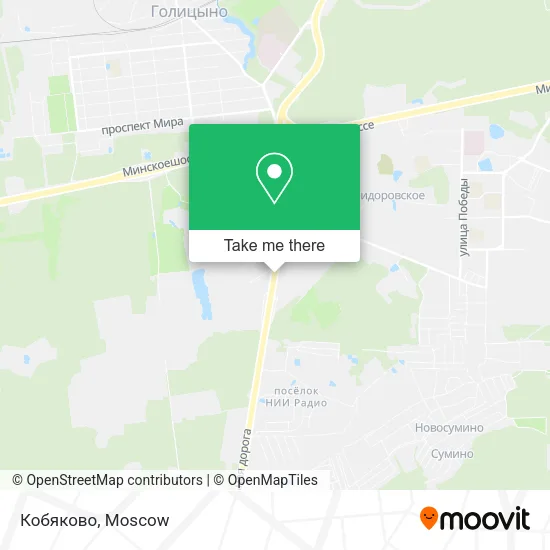 Кобяково map