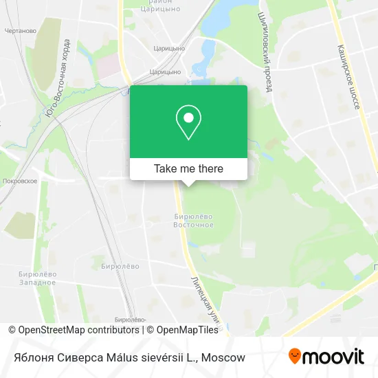 Яблоня Сиверса Málus sievérsii L. map