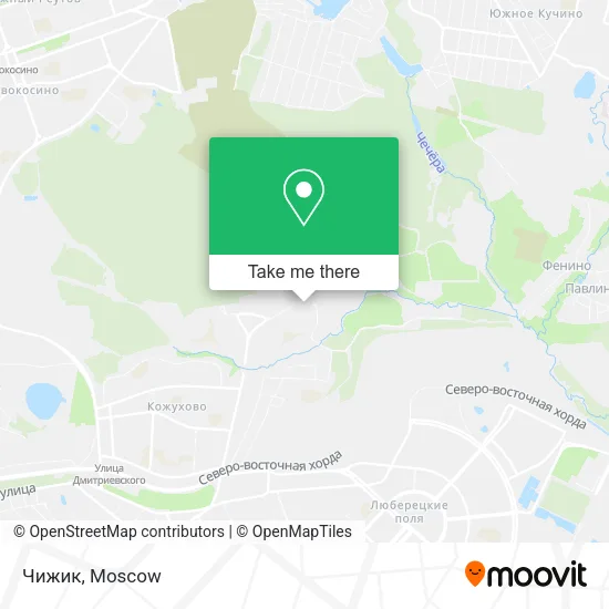 Чижик map