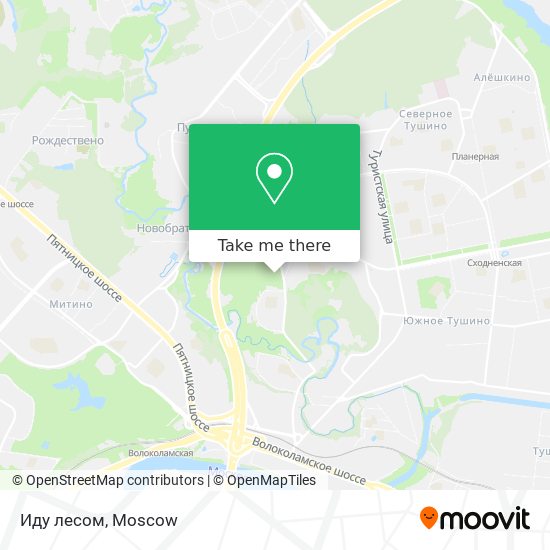 Иду лесом map