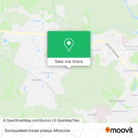 Большевистская улица map