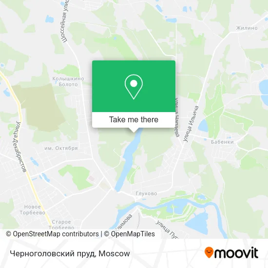 Черноголовский пруд map