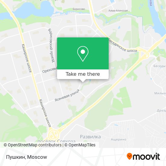 Пушкин map