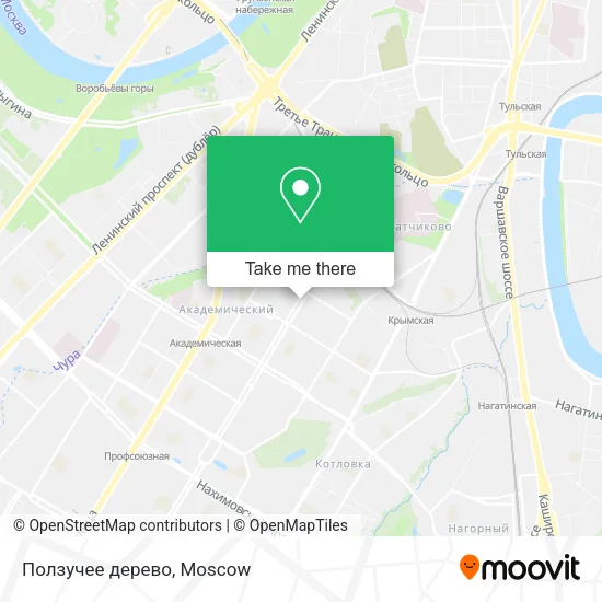 Ползучее дерево map