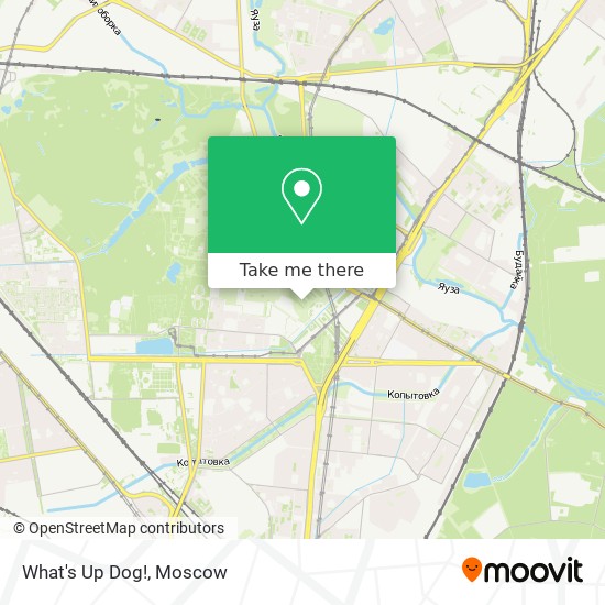 What's Up Dog! map