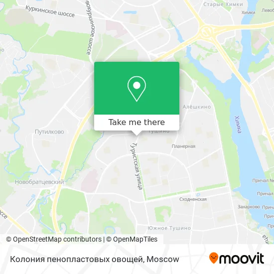 Колония пенопластовых овощей map