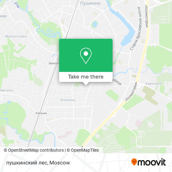 пушкинский лес map