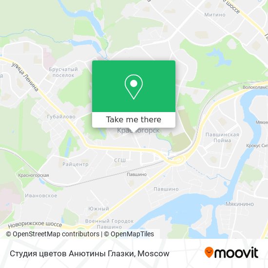 Студия цветов Анютины Глазки map