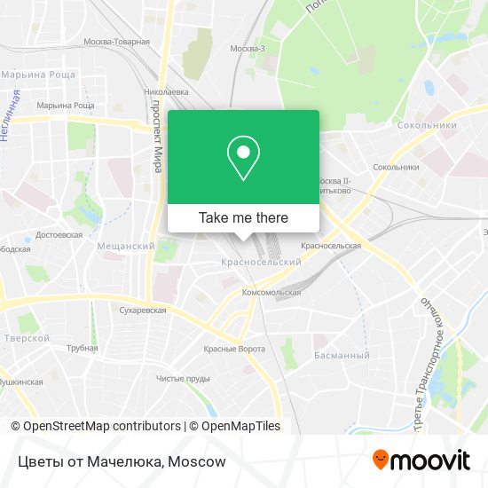 Цветы от Мачелюка map