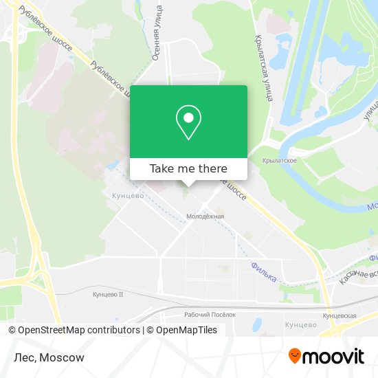 Лес map