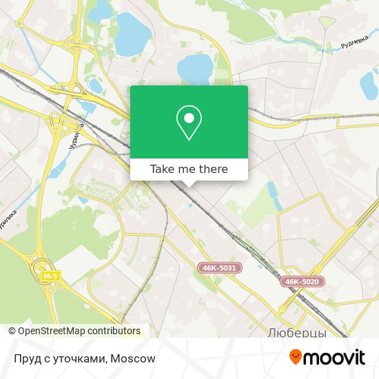 Пруд с уточками map