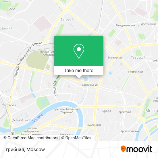 грибная map