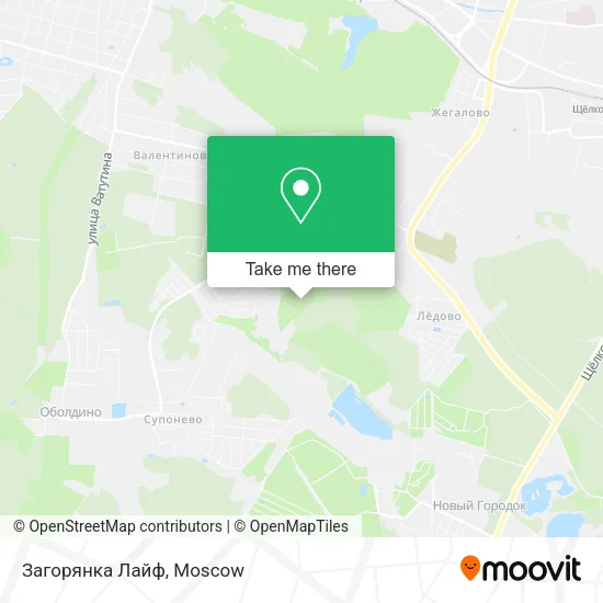 Загорянка Лайф map