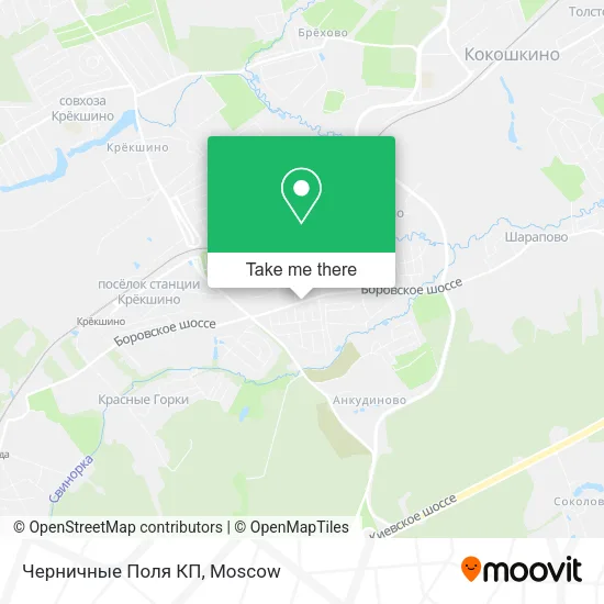 Черничные Поля КП map