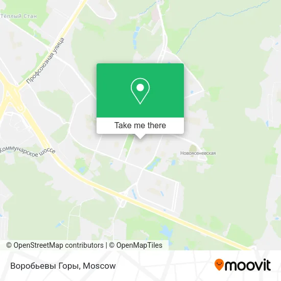 Воробьевы Горы map