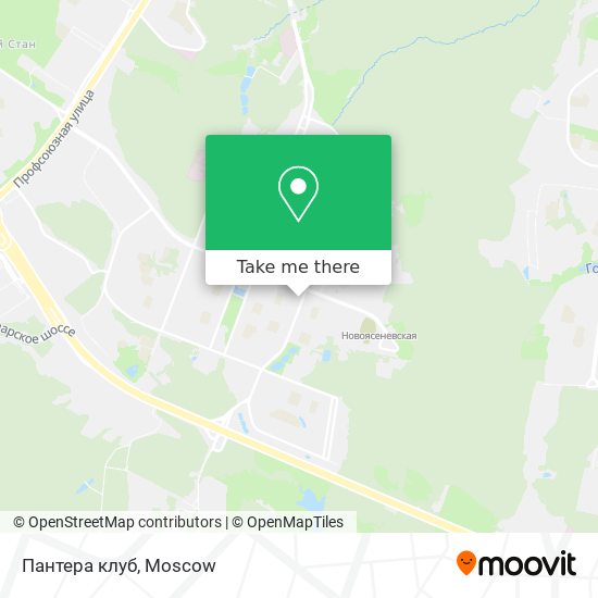 Пантера клуб map