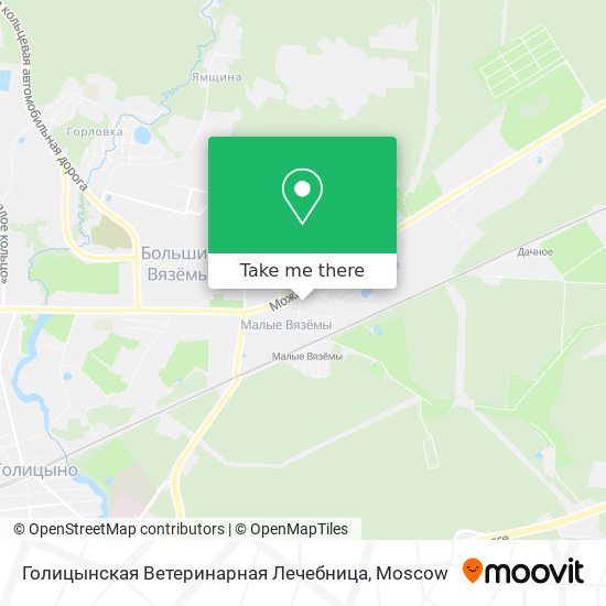 Голицынская Ветеринарная Лечебница map