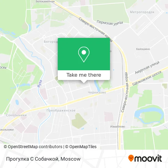 Прогулка С Собачкой map